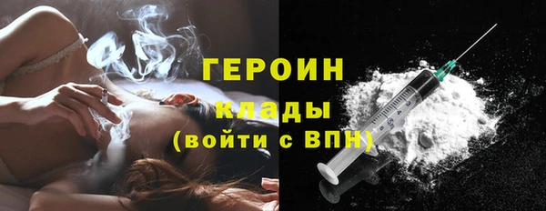 трава Коряжма