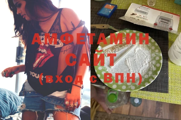 трава Коряжма