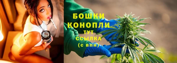 сатива Костерёво