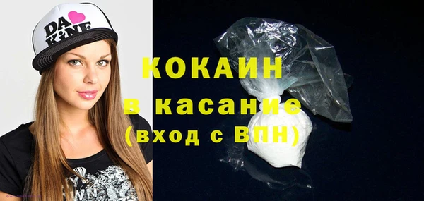 трава Коряжма