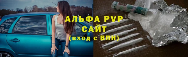 сатива Костерёво