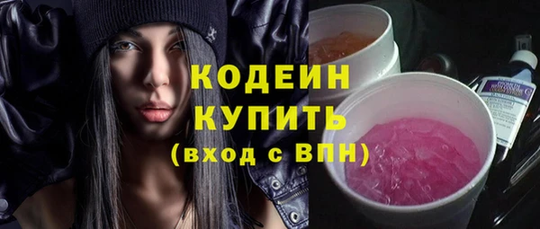 трава Коряжма