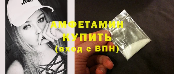 трава Коряжма
