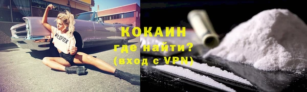 трава Коряжма