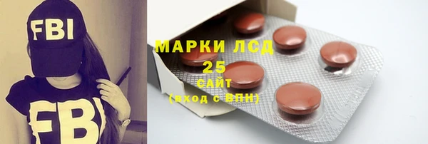 трава Коряжма