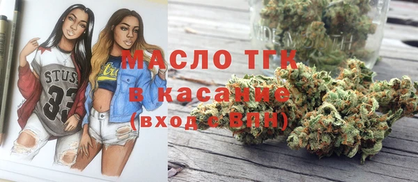трава Коряжма