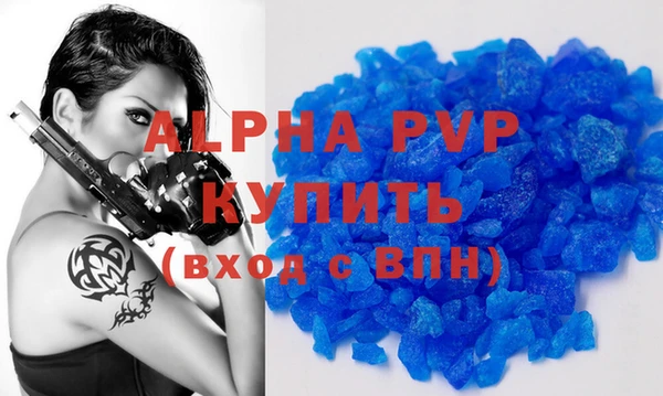 трава Коряжма