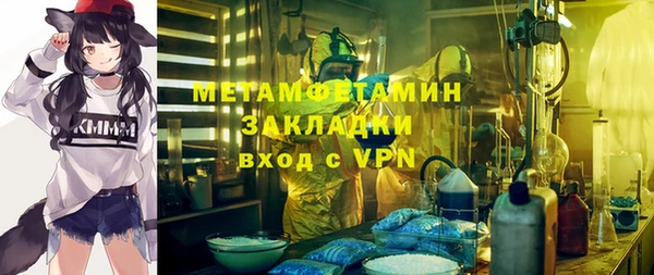 трава Коряжма