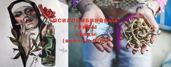 трава Коряжма