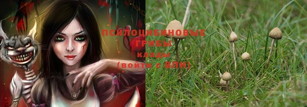 трава Коряжма
