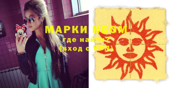 трава Коряжма