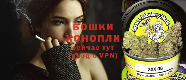 трава Коряжма