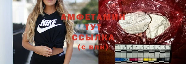сатива Костерёво
