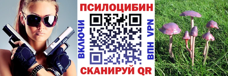Купить закладки  Скопин  Галлюциногенные грибы прущие грибы 
